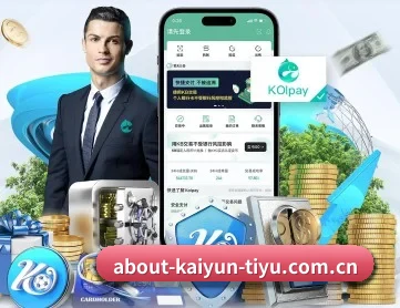 开云官方入口 APP 深度功能