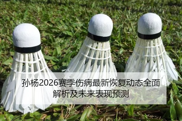 sun-yang-sai-ji-shang-bing-zui-xin-hui-fu-dong-tai-quan-mian-jie-xi-ji-wei-lai-biao-xian-yu-ce-2-770.jpg